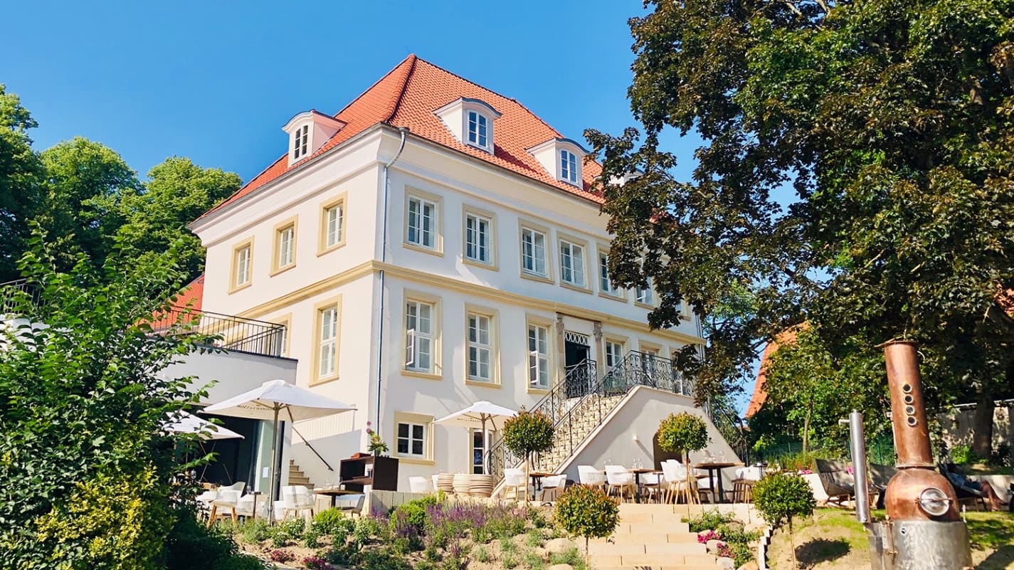 Sommerfest der MIT Lüneburg mit Prof. Dr. Ferdinand Müller-Rommel